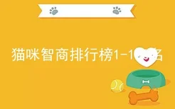 猫咪智商排行榜1-100名