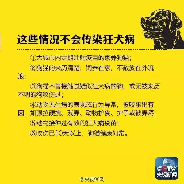 被小奶猫挠了用打针吗 小奶猫会携带狂犬病毒吗？被小奶猫挠了用打针吗 小奶猫会携带狂犬病毒吗？