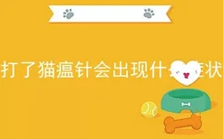 打了猫瘟针会出现什么症状