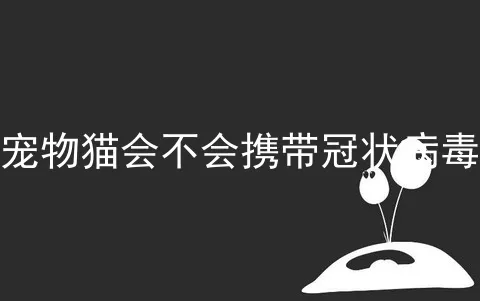 宠物猫会不会携带冠状病毒