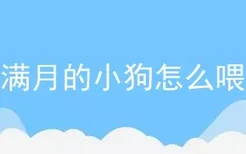 刚满月的小狗怎么喂养