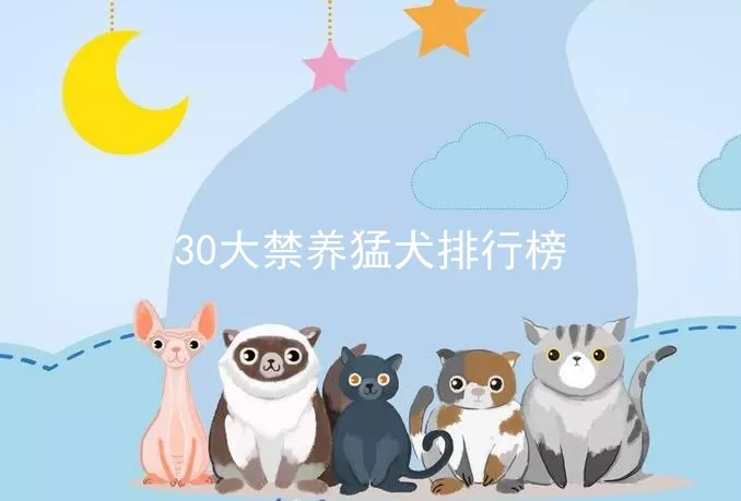 30大禁养猛犬排行榜