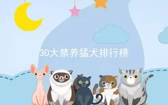 30大禁养猛犬排行榜