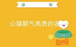 公猫霸气高贵的名字