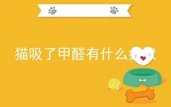 猫吸了甲醛有什么症状