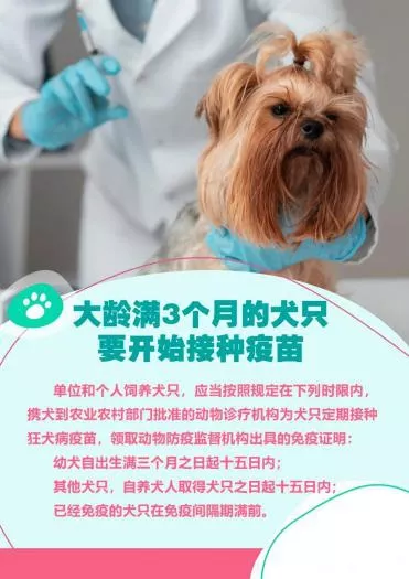 郴州狗证怎么办理 郴州养犬怎么申报