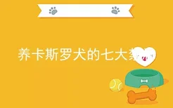 养卡斯罗犬的七大禁忌