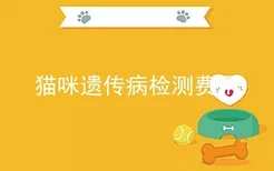 猫咪遗传病检测费用