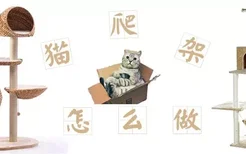 猫爬架怎么做