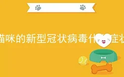 猫咪的新型冠状病毒什么症状