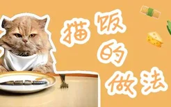 猫饭的做法