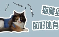 猫咪绝育的好处有哪些