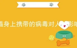 猫身上携带的病毒对人的影响