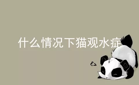 什么情况下猫观水症