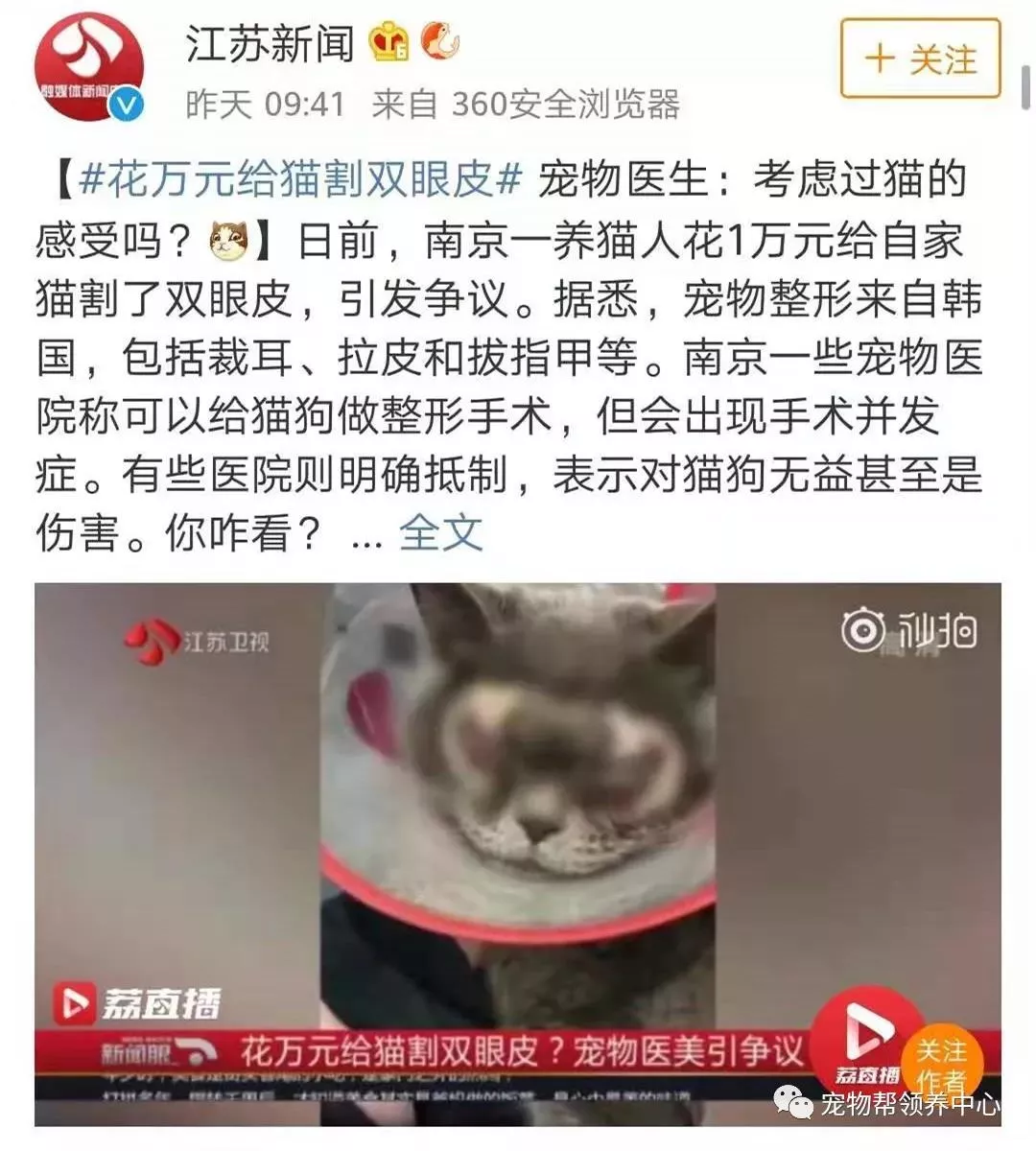 花万元给猫割双眼皮 为了美已经到了丧心病狂的地步吗？花万元给猫割双眼皮 为了美已经到了丧心病狂的地步吗？花万元给猫割双眼皮 为了美已经到了丧心病狂的地步吗？