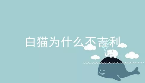 白猫为什么不吉利