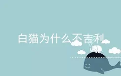 白猫为什么不吉利