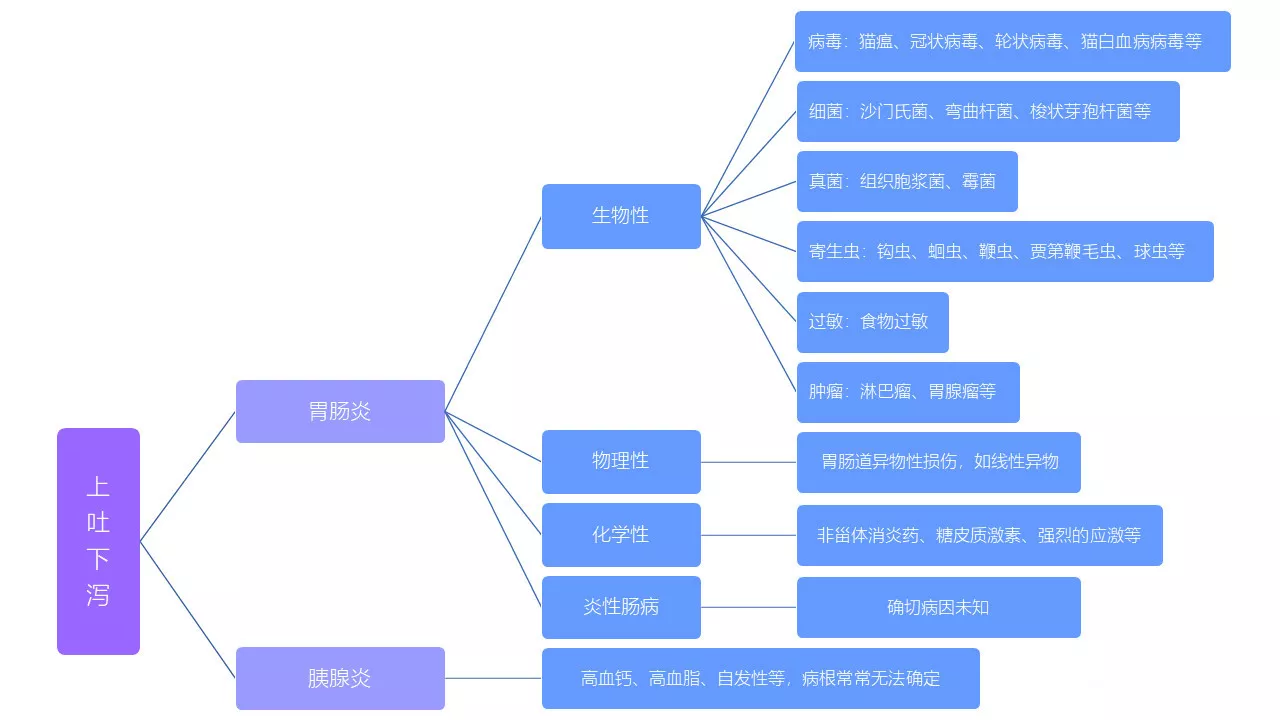 猫咪上吐下泻能自愈吗 疾病问题是不可能自愈的猫咪上吐下泻能自愈吗 疾病问题是不可能自愈的猫咪上吐下泻能自愈吗