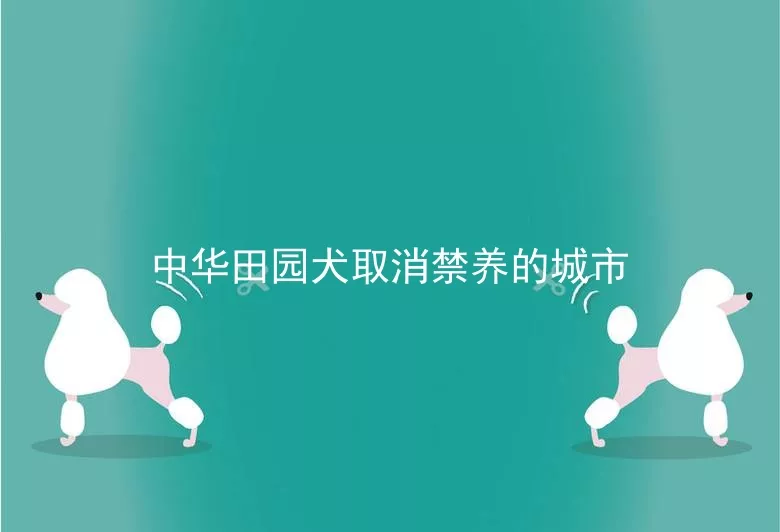 中华田园犬取消禁养的城市