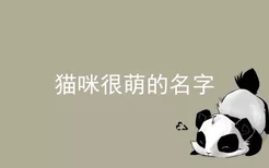 猫咪很萌的名字