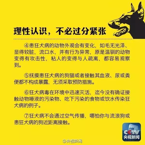 被家狗咬没破皮有事吗 怎么判断要不要注射疫苗