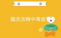 猫洗洁精中毒症状