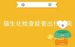 猫生化检查能查出什么病