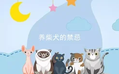 养柴犬的禁忌