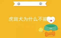 虎斑犬为什么不能养