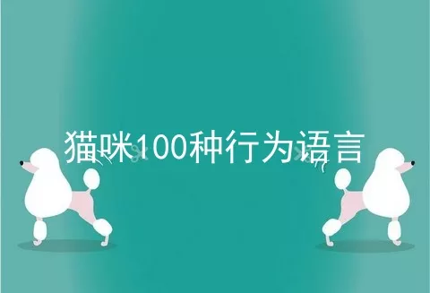 猫咪100种行为语言