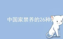 中国家禁养的26种狗