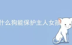 什么狗能保护主人女孩子养