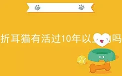 折耳猫有活过10年以上的吗