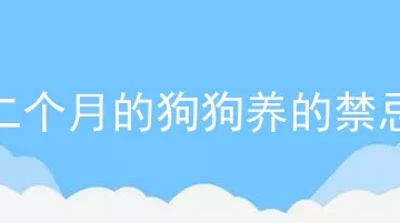 二个月的狗狗养的禁忌