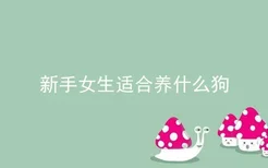 新手女生适合养什么狗