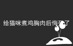 给猫咪煮鸡胸肉后悔死了