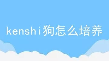 kenshi狗怎么培养