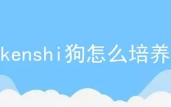 kenshi狗怎么培养