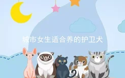 城市女生适合养的护卫犬