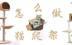 怎么做猫爬架