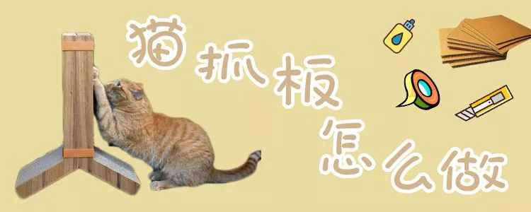 猫抓板怎么做