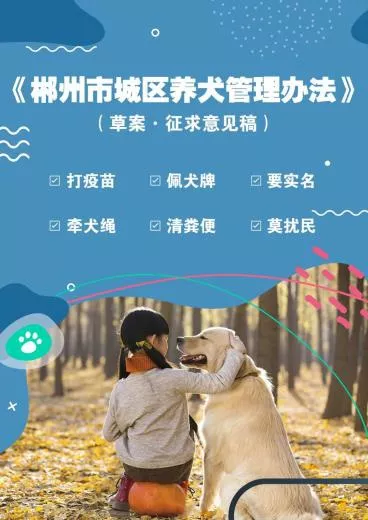 郴州狗证怎么办理 郴州养犬怎么申报