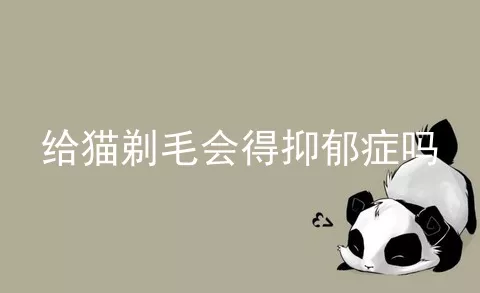 给猫剃毛会得抑郁症吗