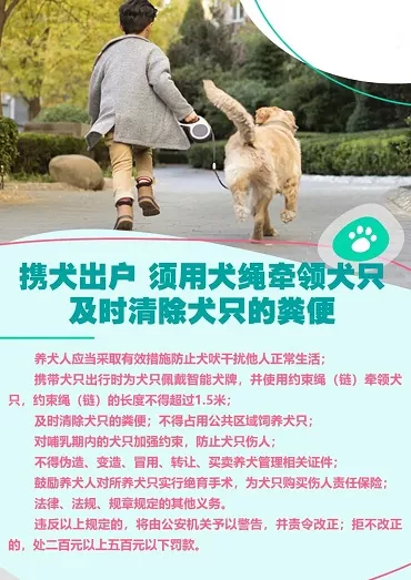 郴州狗证怎么办理 郴州养犬怎么申报