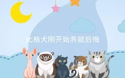 比格犬刚开始养就后悔