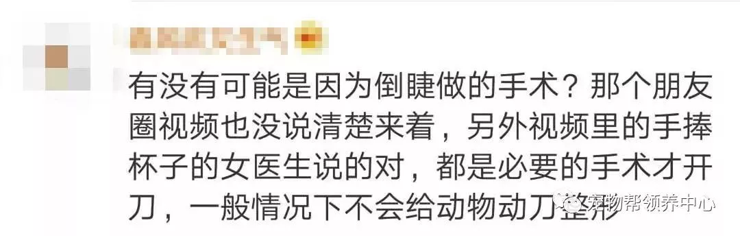 花万元给猫割双眼皮 为了美已经到了丧心病狂的地步吗？花万元给猫割双眼皮 为了美已经到了丧心病狂的地步吗？花万元给猫割双眼皮 为了美已经到了丧心病狂的地步吗？