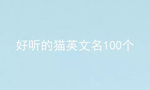 好听的猫英文名100个