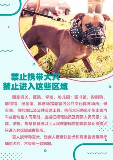 郴州狗证怎么办理 郴州养犬怎么申报