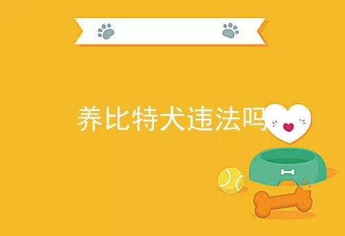 养比特犬违法吗