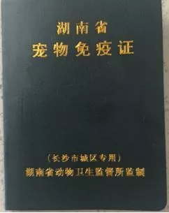 “最严”养犬条例已实施 长沙犬证办理最新指南看过来